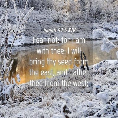 Picture 04 - Isaiah 43:5 KJV - Fear not: for I am with thee: I will bring thy - Bible Verse Picture