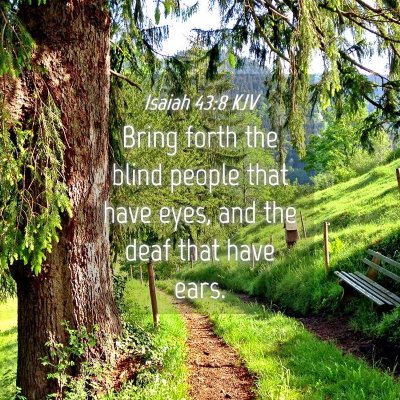 Picture 04 - Isaiah 43:8 KJV - Bring forth the blind people that have eyes, and - Bible Verse Picture