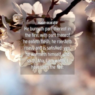 Picture 04 - Isaiah 44:16 KJV - He burneth part thereof in the fire; with part - Bible Verse Picture
