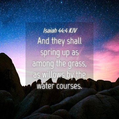 Picture 04 - Isaiah 44:4 KJV - And they shall spring up as among the grass, as - Bible Verse Picture