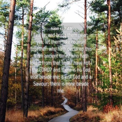 Picture 04 - Isaiah 45:21 KJV - Tell ye, and bring them near; yea, let them take - Bible Verse Picture