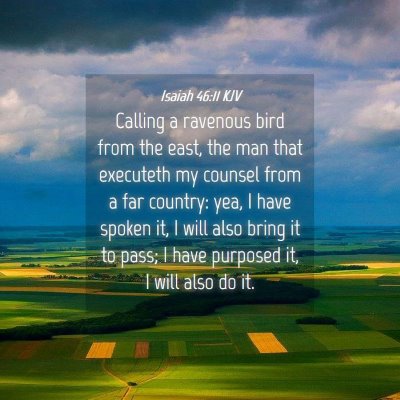 Picture 04 - Isaiah 46:11 KJV - Calling a ravenous bird from the east, the man - Bible Verse Picture