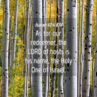 Picture 04 - Isaiah 47:4 KJV - As for our redeemer, the LORD of hosts is his - Bible Verse Picture