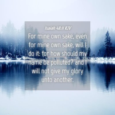 Picture 04 - Isaiah 48:11 KJV - For mine own sake, even for mine own sake, will I - Bible Verse Picture