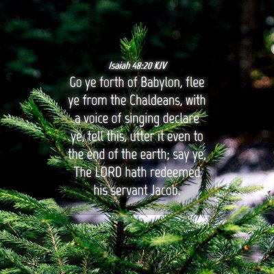 Picture 04 - Isaiah 48:20 KJV - Go ye forth of Babylon, flee ye from the - Bible Verse Picture