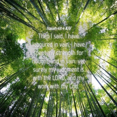 Picture 04 - Isaiah 49:4 KJV - Then I said, I have laboured in vain, I have - Bible Verse Picture