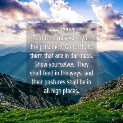 Picture 04 - Isaiah 49:9 KJV - That thou mayest say to the prisoners, Go forth; - Bible Verse Picture