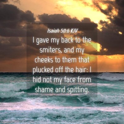 Picture 04 - Isaiah 50:6 KJV - I gave my back to the smiters, and my cheeks to - Bible Verse Picture