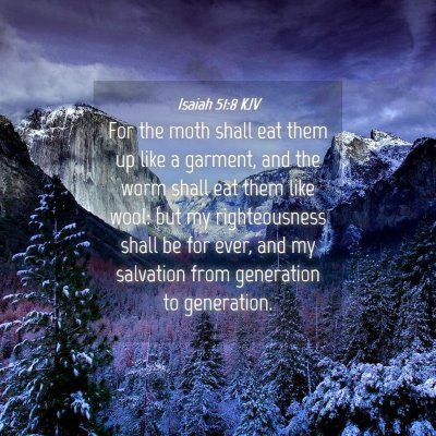 Picture 04 - Isaiah 51:8 KJV - For the moth shall eat them up like a garment, - Bible Verse Picture