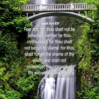 Picture 04 - Isaiah 54:4 KJV - Fear not; for thou shalt not be ashamed: neither - Bible Verse Picture