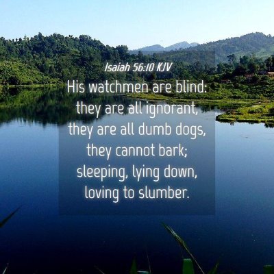 Picture 04 - Isaiah 56:10 KJV - His watchmen are blind: they are all ignorant, - Bible Verse Picture