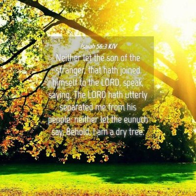 Picture 04 - Isaiah 56:3 KJV - Neither let the son of the stranger, that hath - Bible Verse Picture