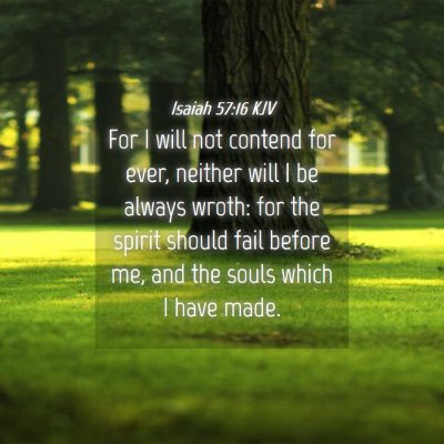 Picture 04 - Isaiah 57:16 KJV - For I will not contend for ever, neither will I - Bible Verse Picture