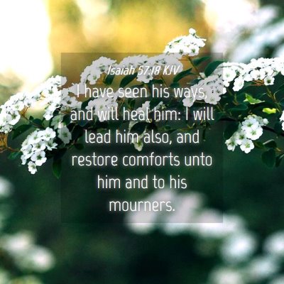 Picture 04 - Isaiah 57:18 KJV - I have seen his ways, and will heal him: I will - Bible Verse Picture