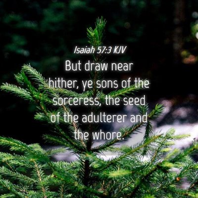 Picture 04 - Isaiah 57:3 KJV - But draw near hither, ye sons of the sorceress, - Bible Verse Picture