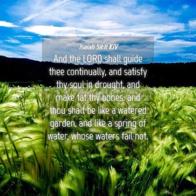 Picture 04 - Isaiah 58:11 KJV - And the LORD shall guide thee continually, and - Bible Verse Picture