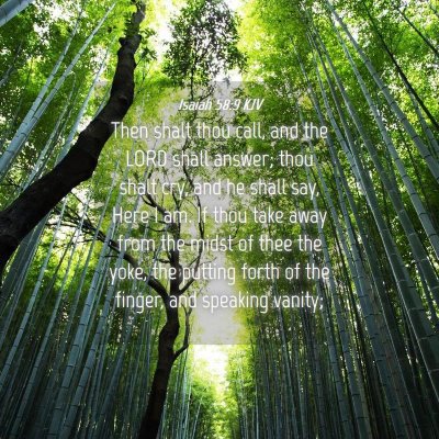 Picture 04 - Isaiah 58:9 KJV - Then shalt thou call, and the LORD shall answer; - Bible Verse Picture