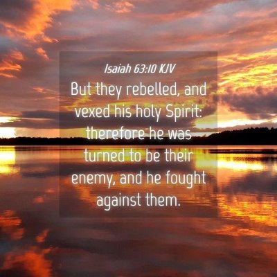 Picture 04 - Isaiah 63:10 KJV - But they rebelled, and vexed his holy Spirit: - Bible Verse Picture