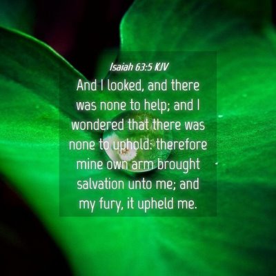 Picture 04 - Isaiah 63:5 KJV - And I looked, and there was none to help; and I - Bible Verse Picture
