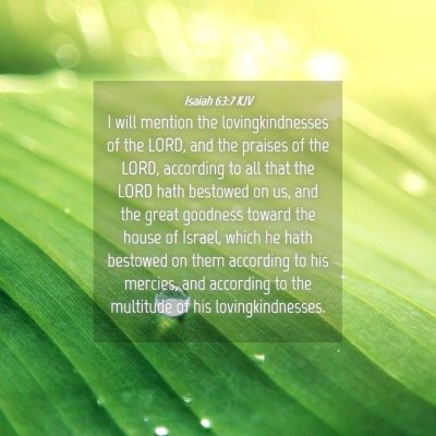 Picture 04 - Isaiah 63:7 KJV - I will mention the lovingkindnesses of the LORD, - Bible Verse Picture
