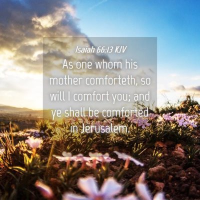 Picture 04 - Isaiah 66:13 KJV - As one whom his mother comforteth, so will I - Bible Verse Picture