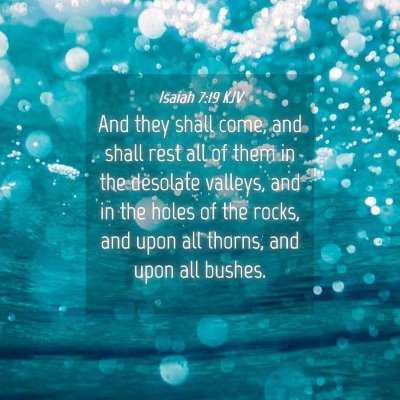 Picture 04 - Isaiah 7:19 KJV - And they shall come, and shall rest all of them - Bible Verse Picture