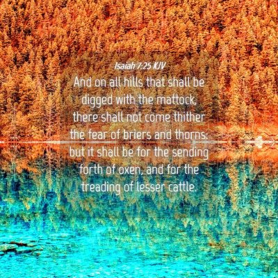 Picture 04 - Isaiah 7:25 KJV - And on all hills that shall be digged with the - Bible Verse Picture
