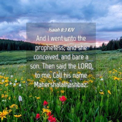 Picture 04 - Isaiah 8:3 KJV - And I went unto the prophetess; and she - Bible Verse Picture