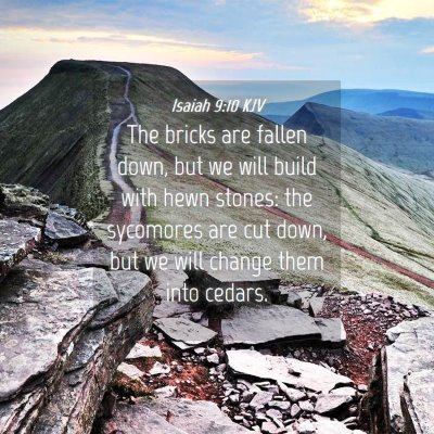 Picture 04 - Isaiah 9:10 KJV - The bricks are fallen down, but we will build - Bible Verse Picture