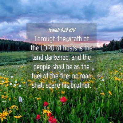 Picture 04 - Isaiah 9:19 KJV - Through the wrath of the LORD of hosts is the - Bible Verse Picture