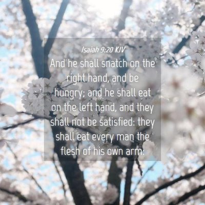 Picture 04 - Isaiah 9:20 KJV - And he shall snatch on the right hand, and be - Bible Verse Picture