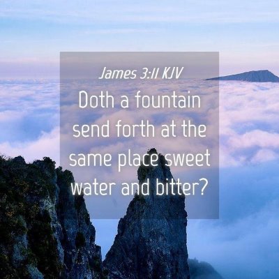 Picture 04 - James 3:11 KJV - Doth a fountain send forth at the same place - Bible Verse Picture
