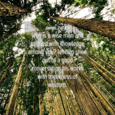 Picture 04 - James 3:13 KJV - Who is a wise man and endued with knowledge among - Bible Verse Picture