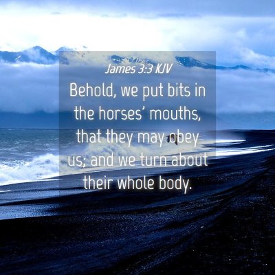 Picture 04 - James 3:3 KJV - Behold, we put bits in the horses' mouths, that - Bible Verse Picture