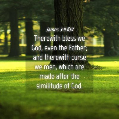 Picture 04 - James 3:9 KJV - Therewith bless we God, even the Father; and - Bible Verse Picture