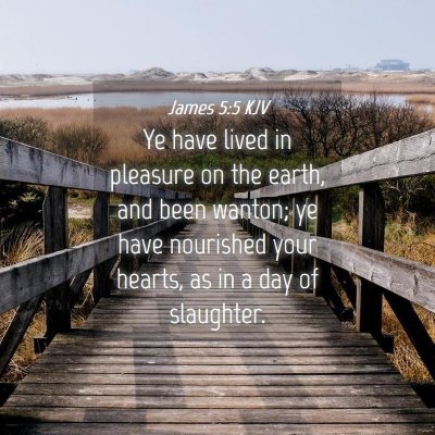 Picture 04 - James 5:5 KJV - Ye have lived in pleasure on the earth, and been - Bible Verse Picture