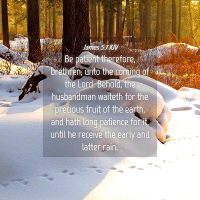 Picture 04 - James 5:7 KJV - Be patient therefore, brethren, unto the coming - Bible Verse Picture