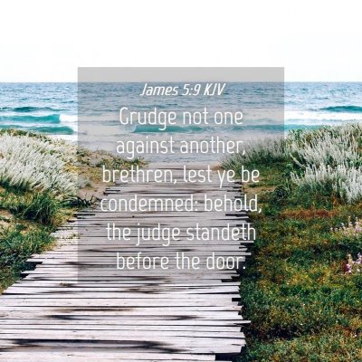 Picture 04 - James 5:9 KJV - Grudge not one against another, brethren, lest ye - Bible Verse Picture