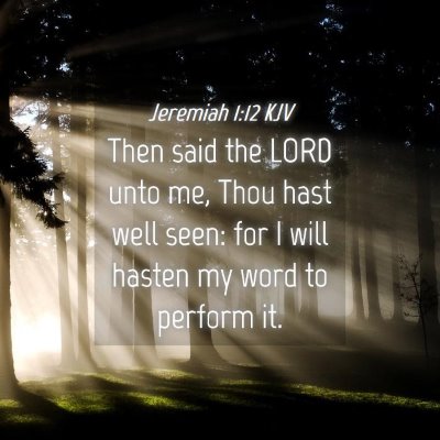 Picture 04 - Jeremiah 1:12 KJV - Then said the LORD unto me, Thou hast well seen: - Bible Verse Picture