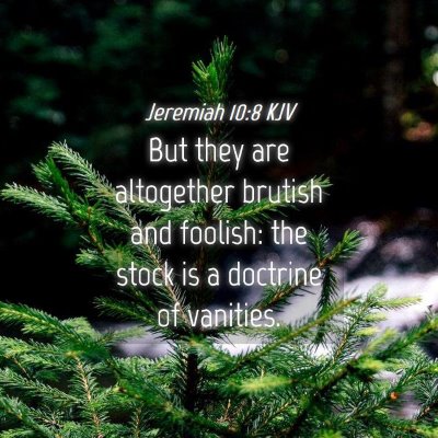 Picture 04 - Jeremiah 10:8 KJV - But they are altogether brutish and foolish: the - Bible Verse Picture