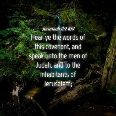 Picture 04 - Jeremiah 11:2 KJV - Hear ye the words of this covenant, and speak - Bible Verse Picture
