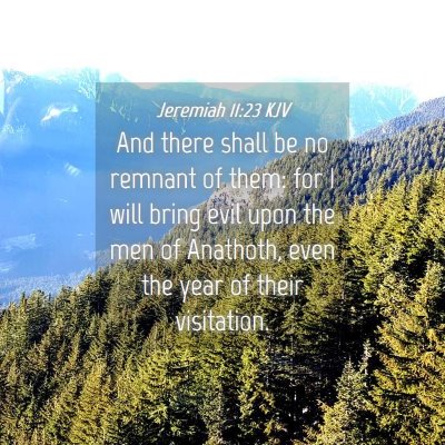 Picture 04 - Jeremiah 11:23 KJV - And there shall be no remnant of them: for I will - Bible Verse Picture