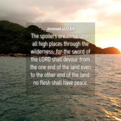 Picture 04 - Jeremiah 12:12 KJV - The spoilers are come upon all high places - Bible Verse Picture