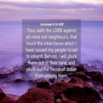Picture 04 - Jeremiah 12:14 KJV - Thus saith the LORD against all mine evil - Bible Verse Picture