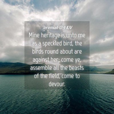 Picture 04 - Jeremiah 12:9 KJV - Mine heritage is unto me as a speckled bird, the - Bible Verse Picture