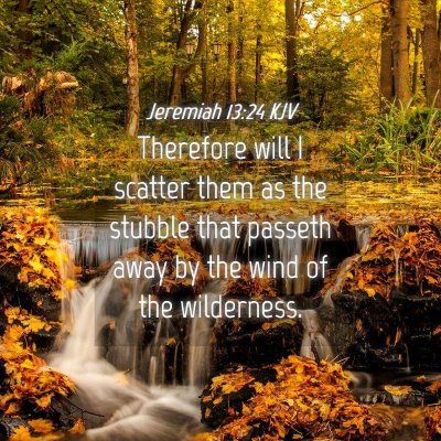 Picture 04 - Jeremiah 13:24 KJV - Therefore will I scatter them as the stubble that - Bible Verse Picture