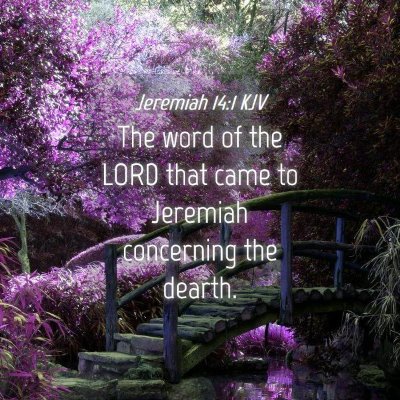 Picture 04 - Jeremiah 14:1 KJV - The word of the LORD that came to Jeremiah - Bible Verse Picture