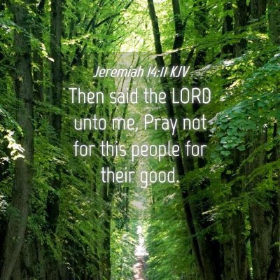 Picture 04 - Jeremiah 14:11 KJV - Then said the LORD unto me, Pray not for this - Bible Verse Picture