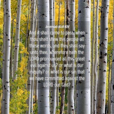 Picture 04 - Jeremiah 16:10 KJV - And it shall come to pass, when thou shalt shew - Bible Verse Picture