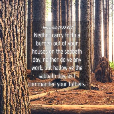 Picture 04 - Jeremiah 17:22 KJV - Neither carry forth a burden out of your houses - Bible Verse Picture
